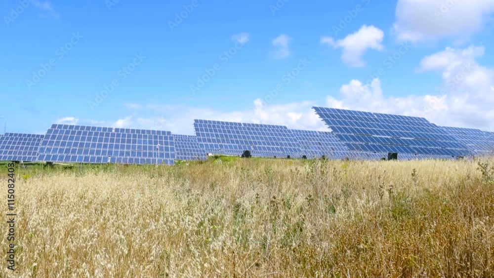 summer field with multiple energy photovoltaic solar panels and blue sky with clouds
