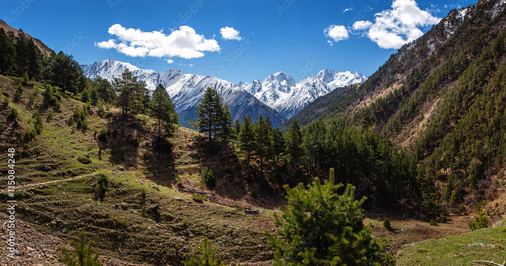 Panoramic view of the main Caucasus ridge in summer Panoramic view of the main Caucasus ridge in summer
