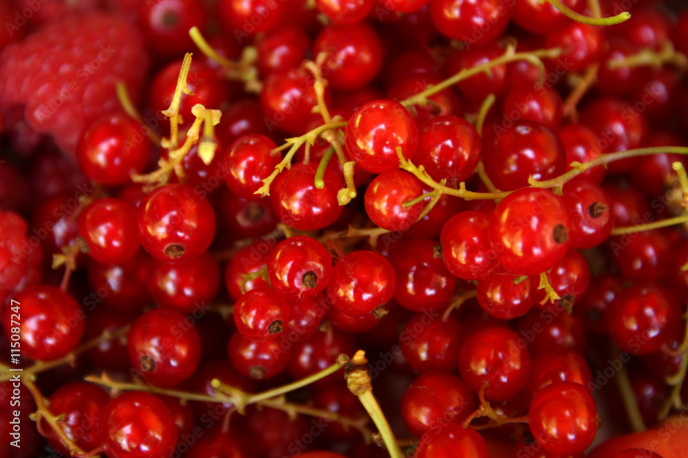 Red berries and summer fruit. Raspberries, cherries, redccurrant, mulberry and strawberries Red berries and summer fruit. Raspberries, cherries, redccurrant, mulberry and strawberries