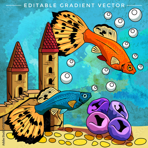 Colorful Aquarium Fishes