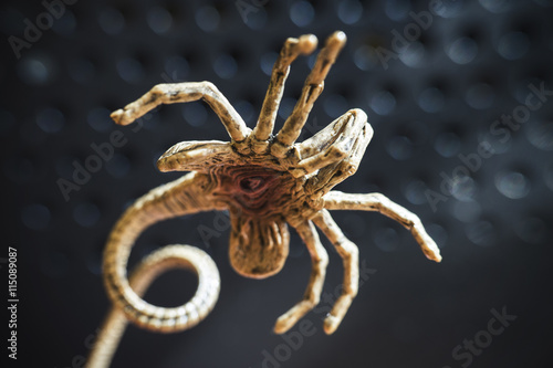 Obraz na płótnie facehugger