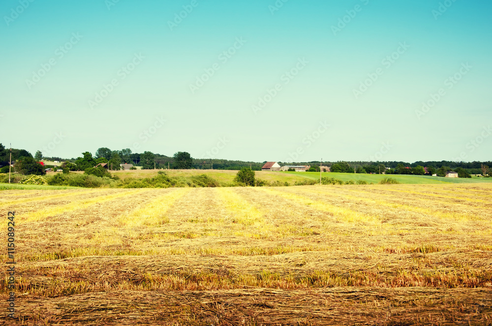 Meadow with mowed grass with village seen from the distance Meadow with mowed grass with village seen from the distance