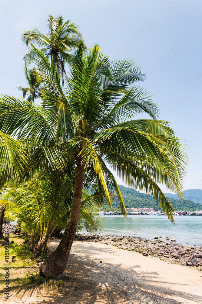 Obraz premium Beautiful tropical beach at island Koh Chang
