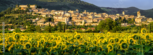 Spello (Umbria Italy)