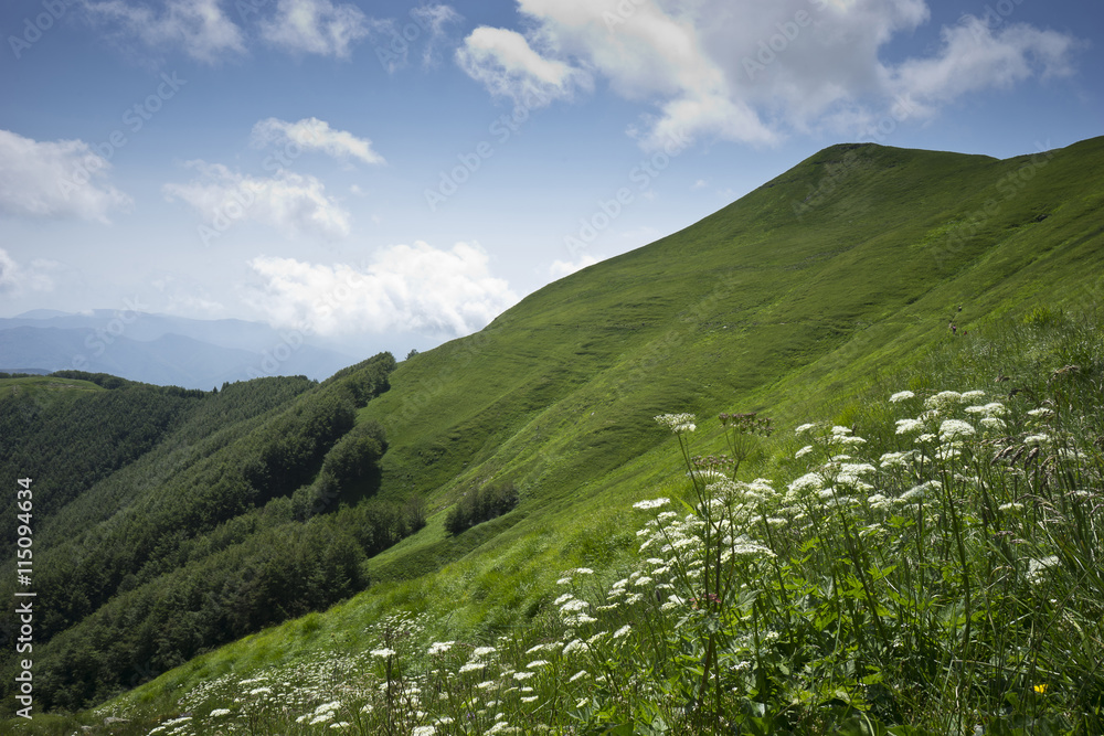Obraz premium Spring on the Appennines