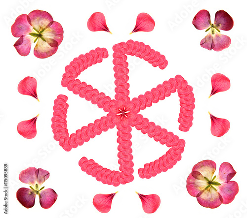 Fototapeta Naklejka Na Ścianę i Meble -  oil draw. Protective Slavic symbolism, a sign of Wisdom. As Ward