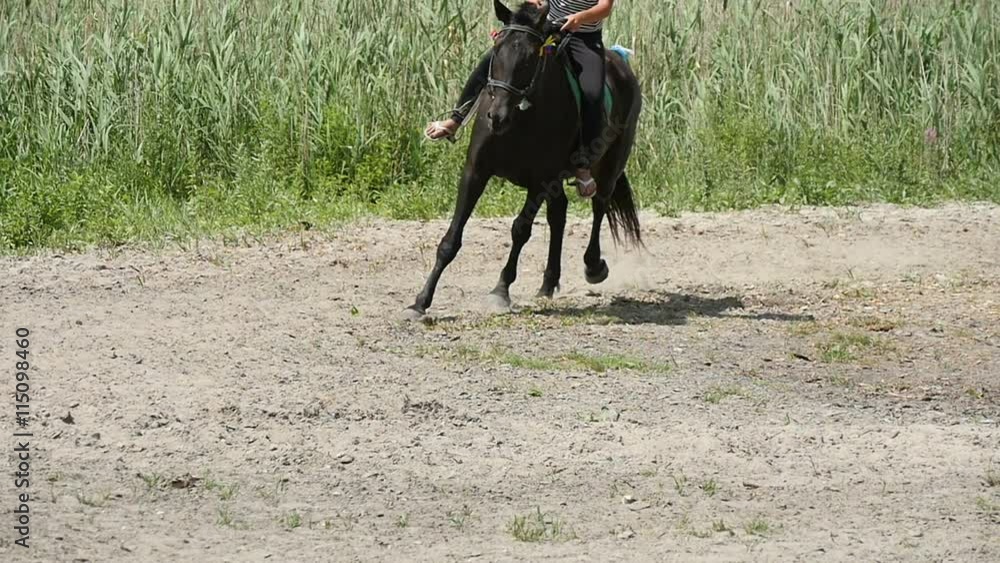 woman riding a horse on sandy road woman riding a horse on sandy road