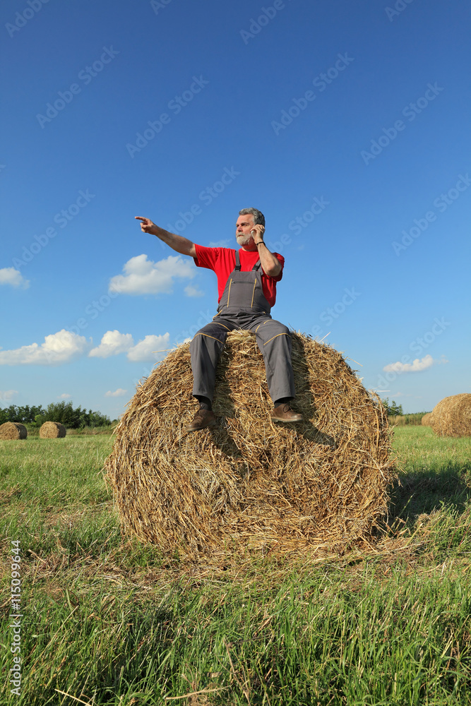 Farmer at bale of hay in field speaking by phone and pointing Farmer at bale of hay in field speaking by phone and pointing