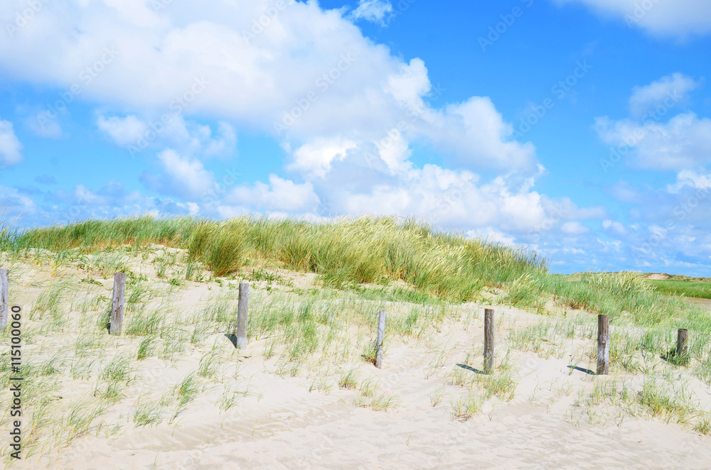 Fototapeta premium Dünenlandschaft mit Pfahlreihe 