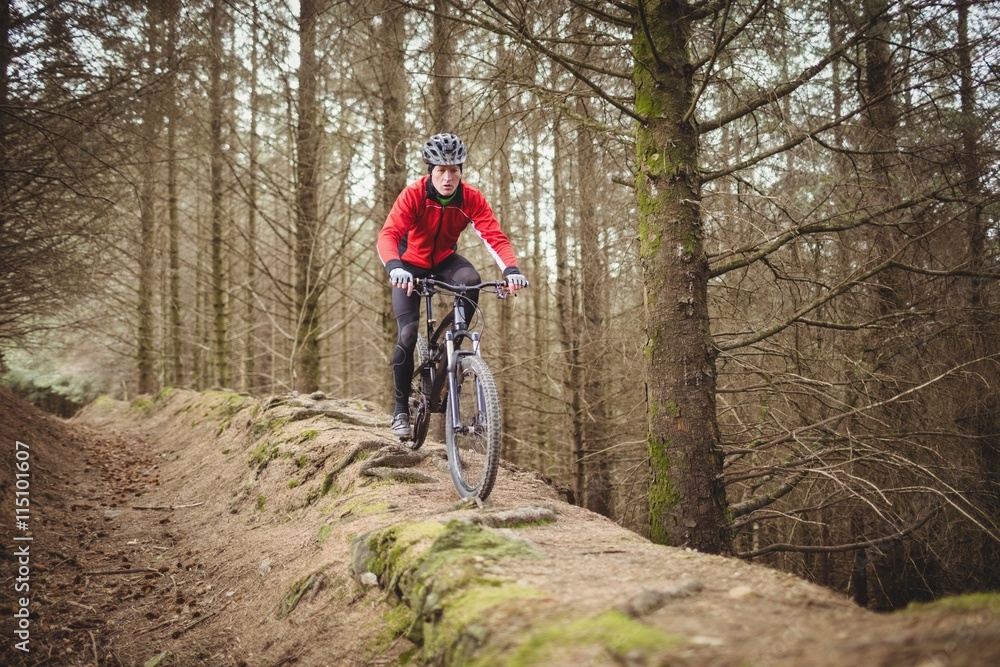 Male mountain biker riding in forest trail Male mountain biker riding in forest trail