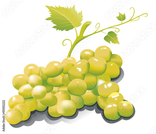 grappe de raisin