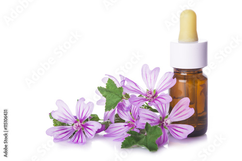 Flores de malva y bote con aceites esenciales para medicinas alternativas aislado en fondo blanco photo