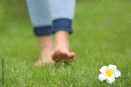 Plumeria flower and female legs on green grass