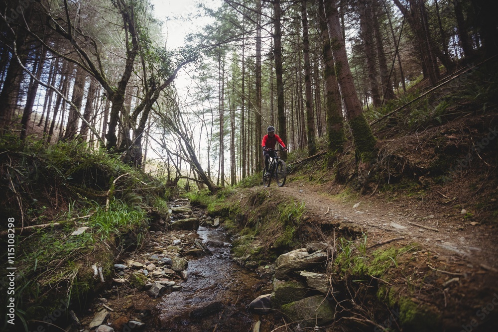 Mountain biker riding by stream in forest Mountain biker riding by stream in forest