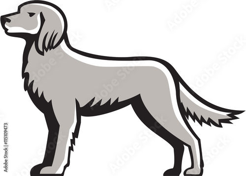English Setter Standing Side View Retro