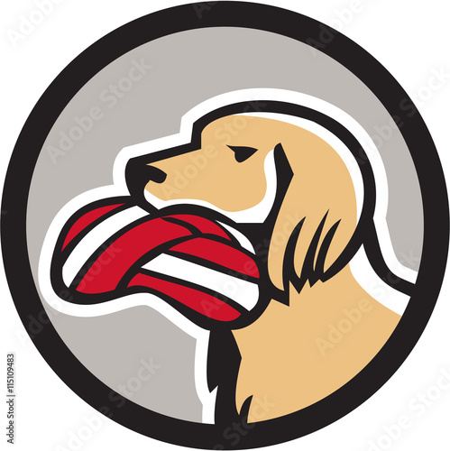 English Setter Dog Head Deflated Volleyball Circle Retro