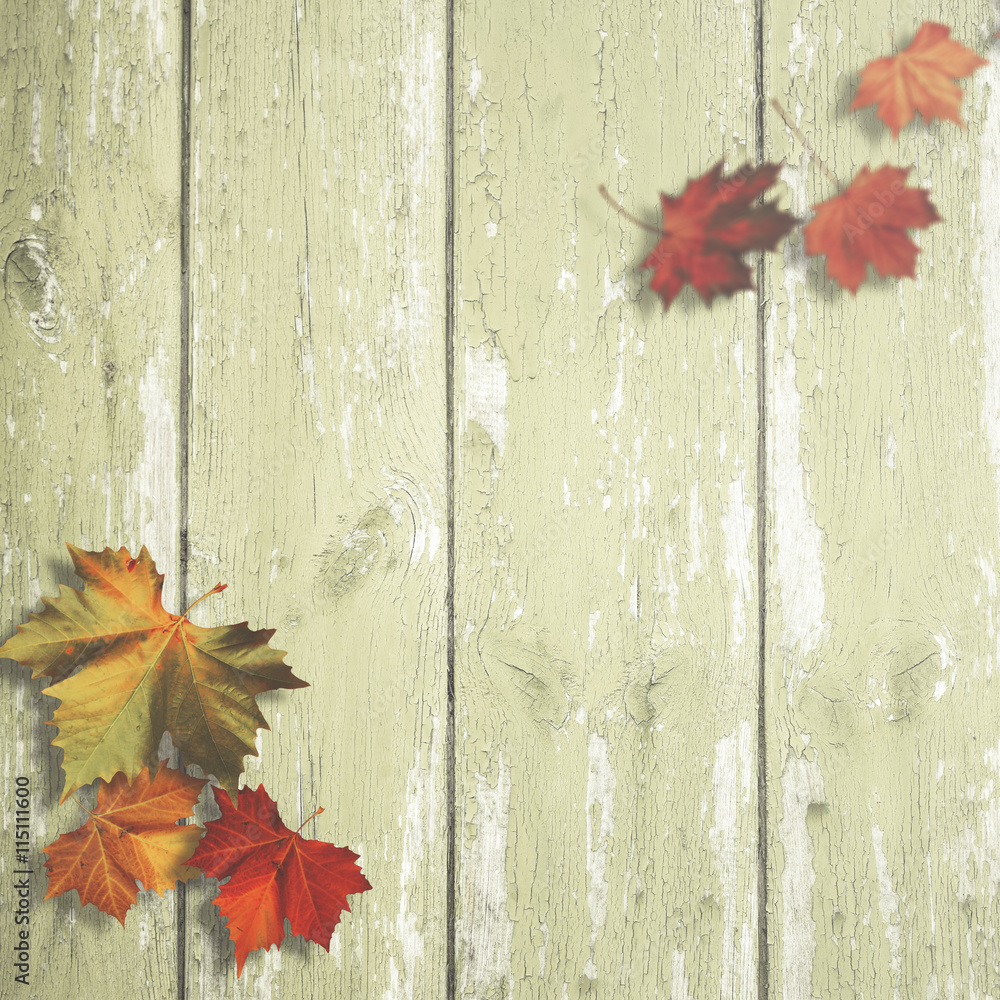 Obraz premium Abstract autumnal backgrounds with maple leaves over old wooden