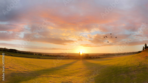 Rural sunset landscape panorama. Birds flying silhouette.