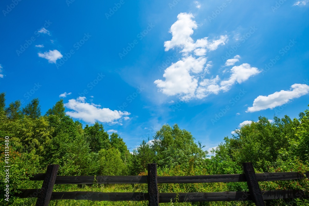 Beautiful summer day with blue sky and clouds