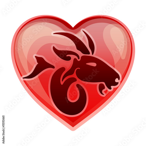 zodiac sign Capricorn