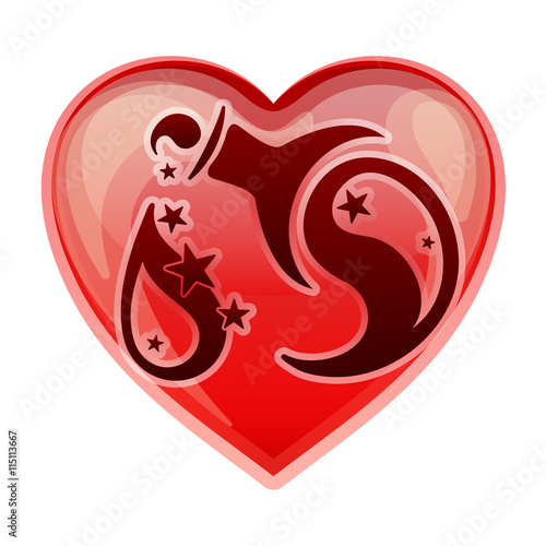 zodiac sign Aquarius