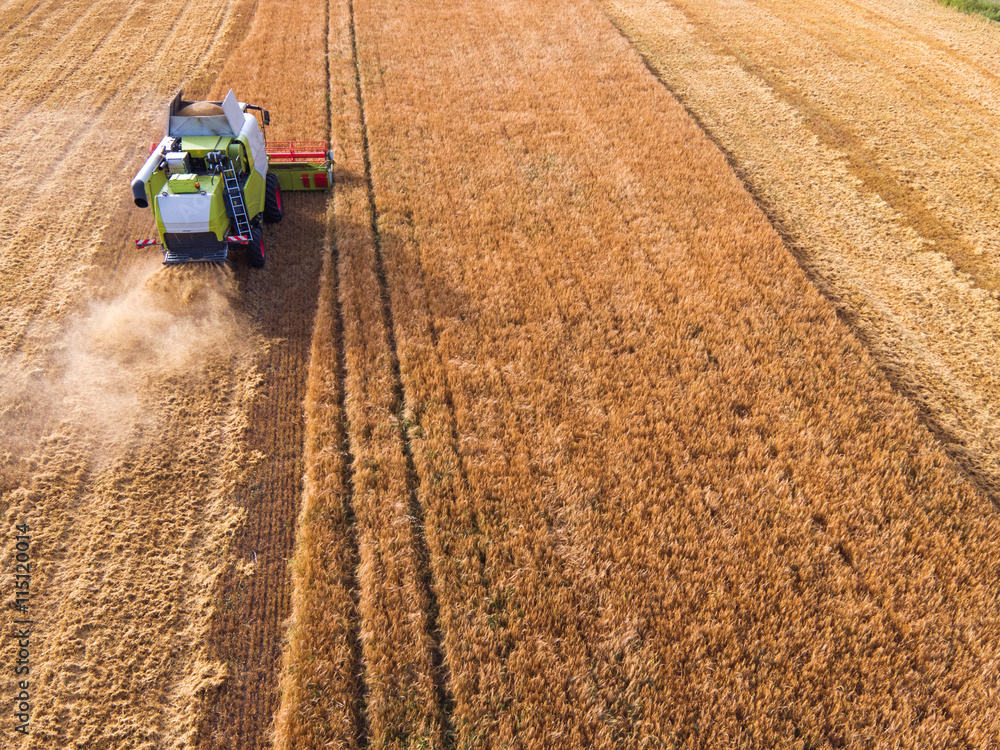 Fototapeta premium Aerial view of combine on harvest field