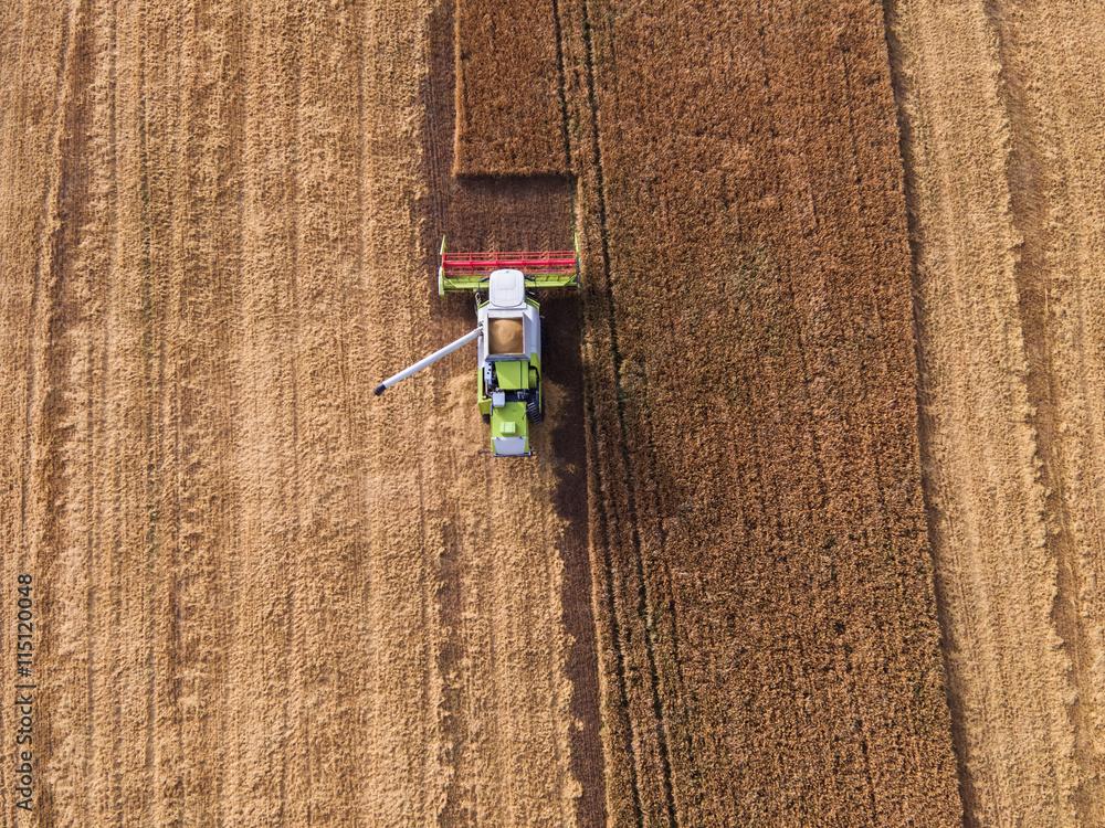 Aerial view of combine on harvest field Aerial view of combine on harvest field