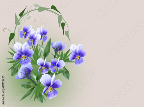 blue garden violet flowers on light background