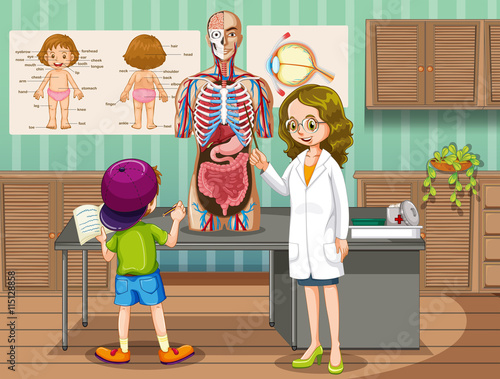 Doctor explaining about human anatomy