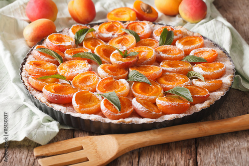 tart of apricots with powdered sugar and mint close up in baking dish. horizontal 
