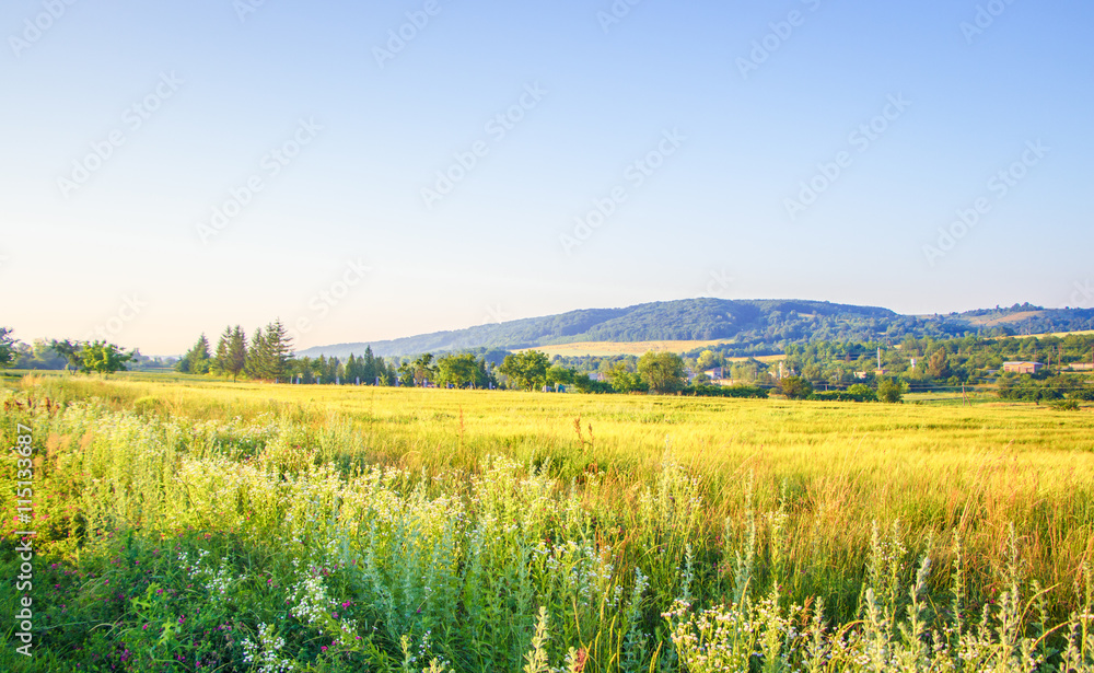 Realistic rural landscape