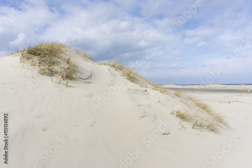 Dünenlandschaft auf der Insel Norderney, Ostfriesland, Niedersachsen, Deutschland