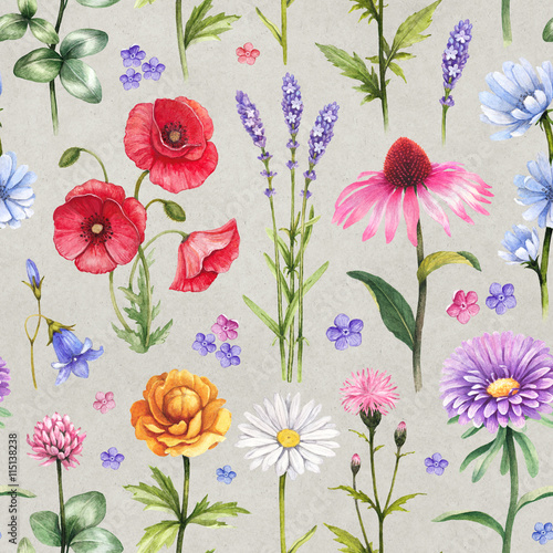 Wild flowers illustrations. Watercolor seamless pattern © Aleksandra Smirnova