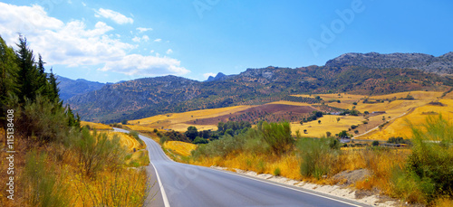 Road in Andalusia.