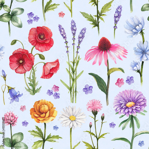 Wild flowers illustrations. Watercolor seamless pattern