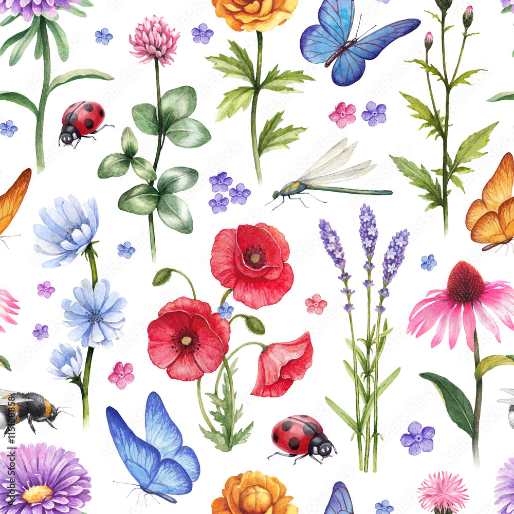 Wild flowers and insect illustrations. Watercolor summer pattern