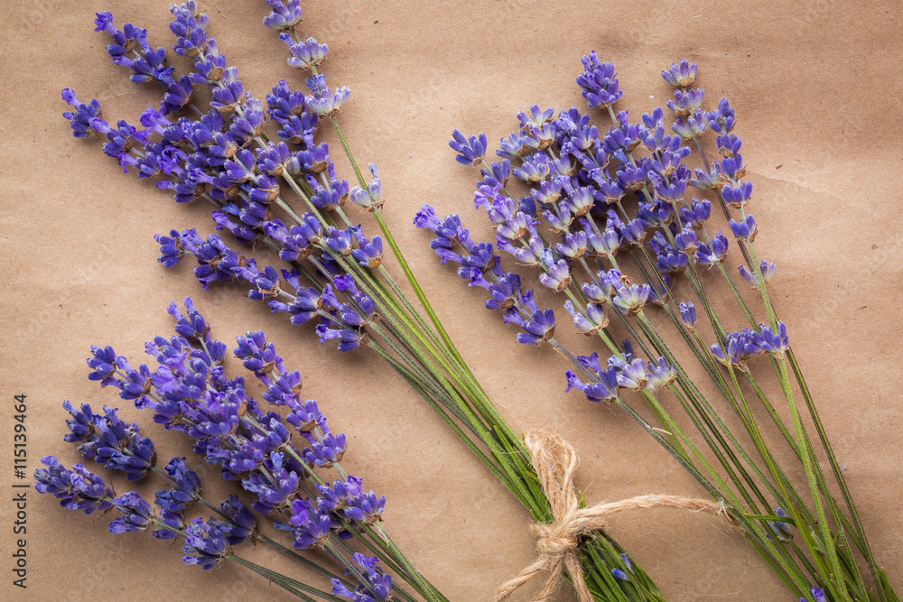 Fototapeta premium lavender bunch on paper background