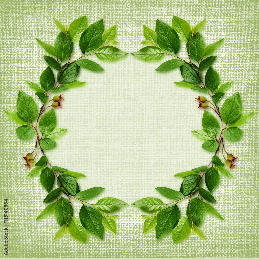 Fototapeta premium Green leaves frame on canvas