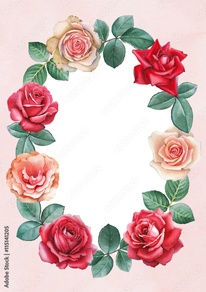 Naklejka premium Watercolor illustrations of a rose flowers. Perfect for greeting