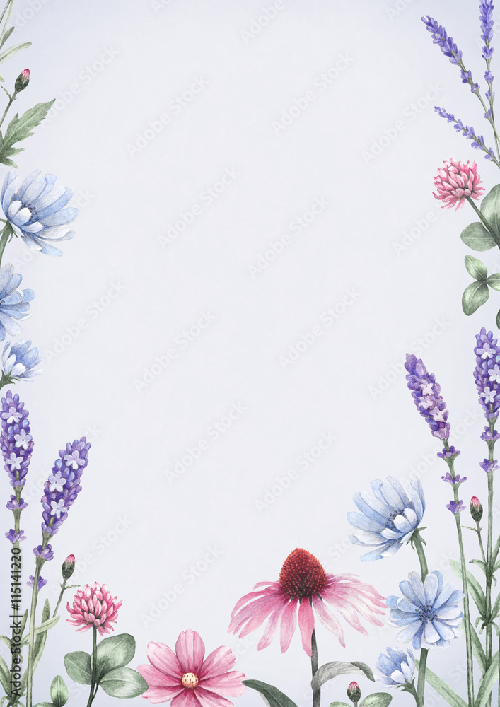 Watercolor wild flowers. Summer background