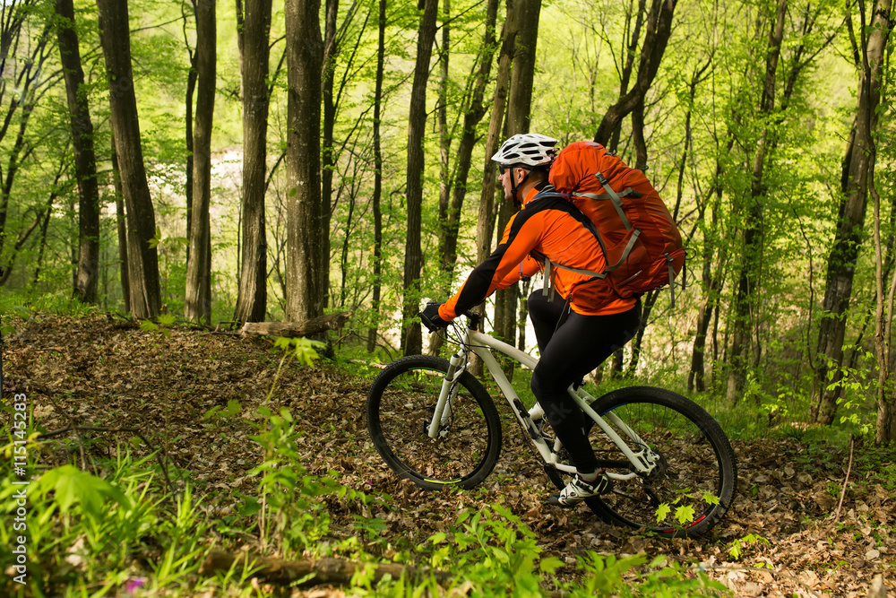 Naklejka premium Biker on the forest road
