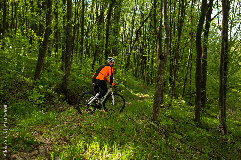 Naklejka premium Cyclist Riding the Bike on a Trail in Summer Forest