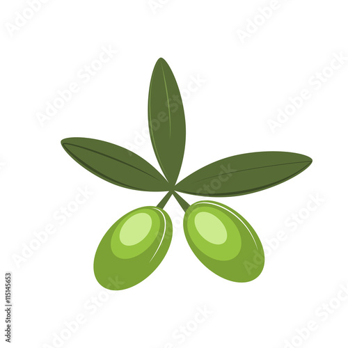 olive vector icon olive oil, symbol sign, branch