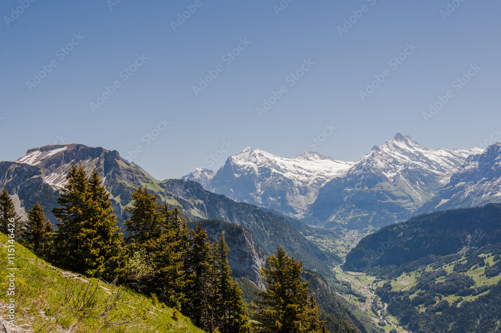 Grindelwald, Alpen, Berner Oberland, Wetterhorn, Schreckhorn, Eiger, Faulhorn, First, Wanderweg, Wanderferien, Schweizer Berge, Sommer, Schweiz