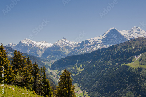 Grindelwald, Berner Oberland, Alpen, Schweizer Berge, Wetterhorn, Schreckhorn, Eiger, Mönch, Schynige Platte, Wanderregion, Wanderweg, Sommer, Schweiz