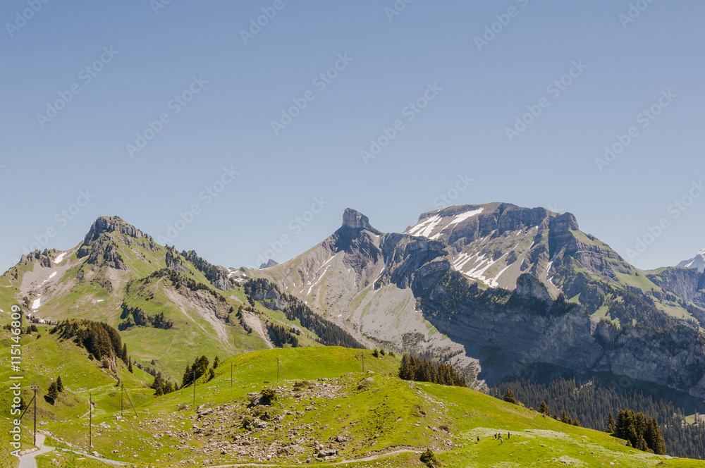 Interlaken, Schynige Platte, Berner Oberland, Alpen, Schweizer Berge, Daube, Oberberghorn, Wanderweg, Wanderferien, Sommer, Schweiz