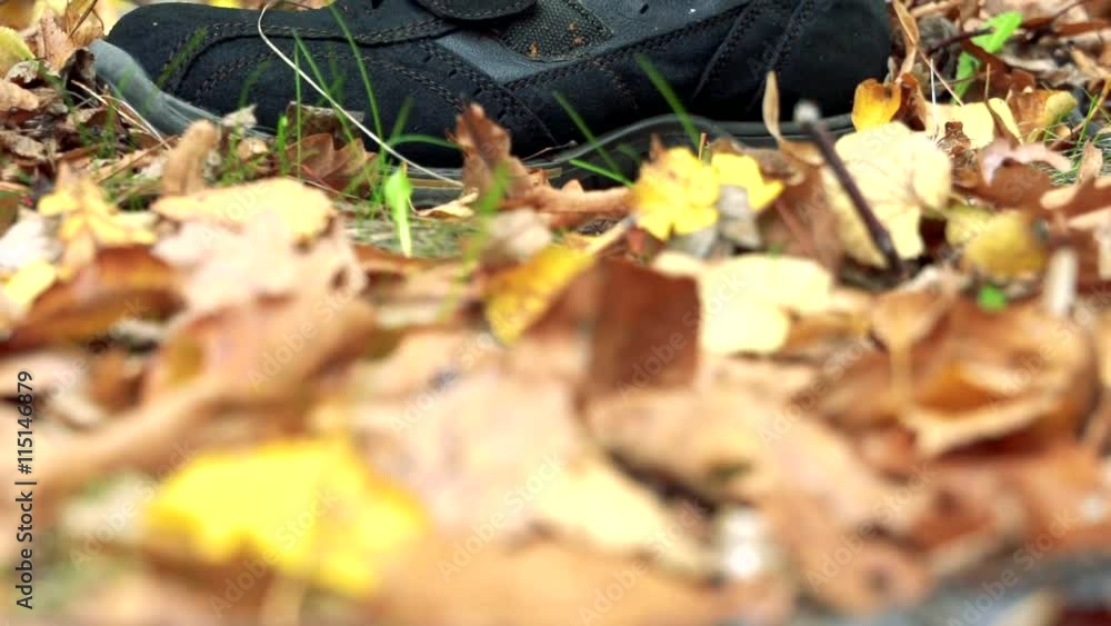 Slowmotion view on lonely sneaker lies in woods Slowmotion view on lonely sneaker lies in woods