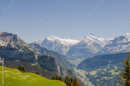 Grindelwald, Berner Oberland, Alpen, Schynige Platte, Wetterhorn, Schreckhorn, Eiger, Schweizer Berge, Wanderweg, Wanderferien, Sommer, Schweiz