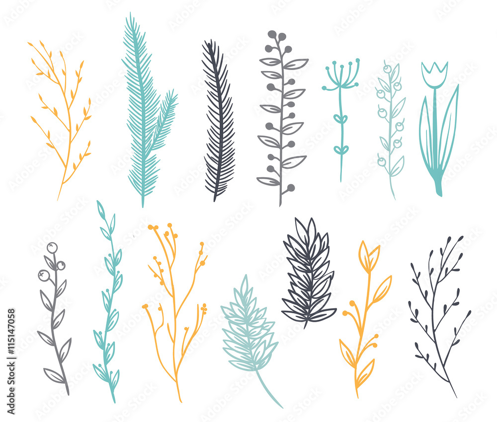 set of branches for decoration set of branches for decoration