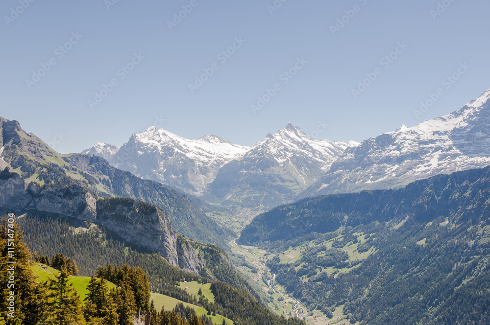 Grindelwald, Alpen, Berner Oberland, Schynige Platte, Schreckhorn, Wetterhorn, Engelhörner, Bergtal, Wanderweg, Schweizer Berge, Sommer, Schweiz
